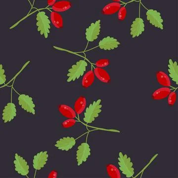 Seamless pattern of rosehip branches and berries Stock Illustration