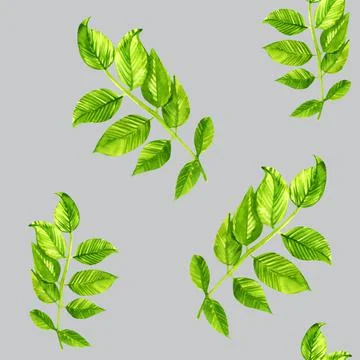 Seamless pattern rosehip leaf watercolor Stock Illustration