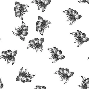 Seamless pattern rosehip plant herbal sketch hand drawn Illustrazione stock