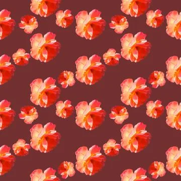 Seamless pattern with roses on a burgundy background Stock Photos