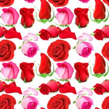 Seamless pattern of roses flowers Stock Photos