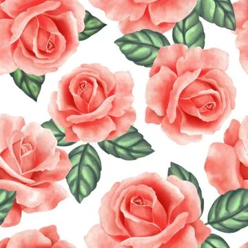 Seamless pattern with roses Stock-Illustration