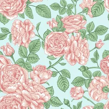 Seamless pattern with roses. Illustrazione stock