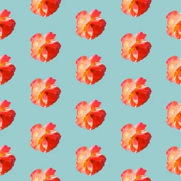 Seamless pattern with roses on a light gray-blue background. Illustrazione stock