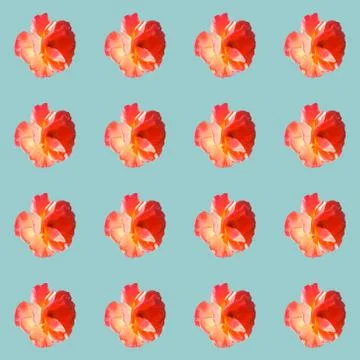 Seamless pattern with roses on a light gray-blue background. 스톡 사진