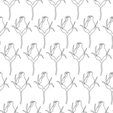 Seamless pattern roses vector Illustrazione stock