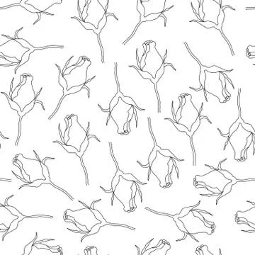 Seamless pattern roses vector Stock Illustration