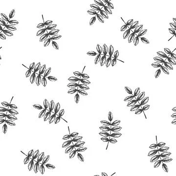 Seamless pattern rowan autumn leaf sketch hand drawn Stock Illustration