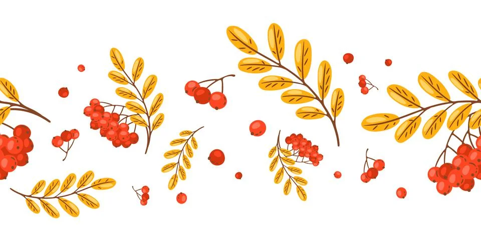 Seamless pattern of rowan with berries. Image of autumn plant. Stock Illustration