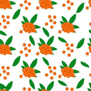 Seamless pattern with rowan berries isolated on white background. Stock Illustration