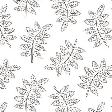 Seamless pattern with rowan leaf in line art style. Abstract leaf texture for Stock Illustration