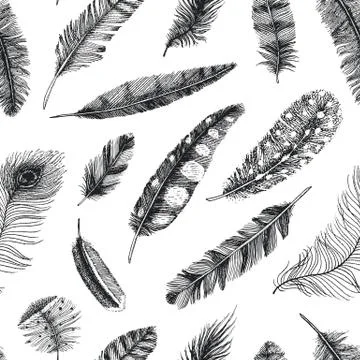 Seamless pattern. Rustic realistic feathers of different birds, owls, peacocks イラスト素材