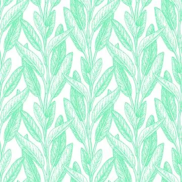 Seamless pattern with sage. Stock Illustration