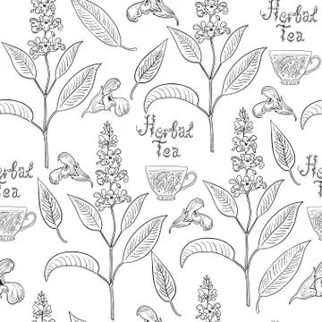 Seamless pattern with sage plants and flowers. Stock Illustration