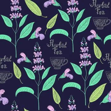 Seamless pattern with sage plants and flowers. Stock Illustration