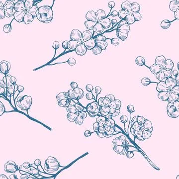 Seamless pattern with sakura blooming branches. Black and white outline ink.. Stock Illustration