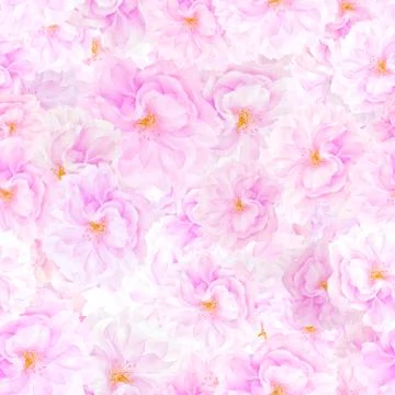 SEAMLESS pattern of sakura blossoms Stock Photos