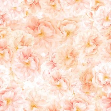 SEAMLESS pattern of sakura blossoms Stock Photos