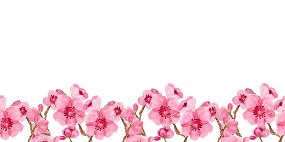 Seamless pattern with sakura Stock Illustration