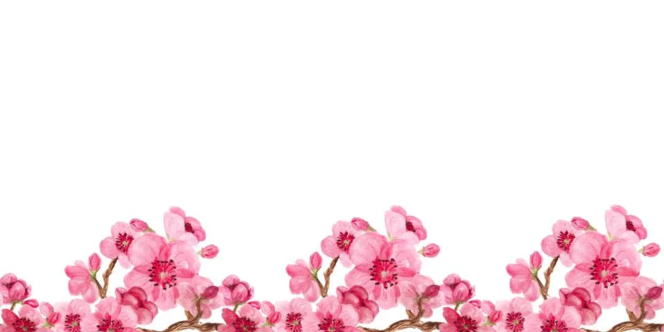 Seamless pattern with sakura Stock Illustration