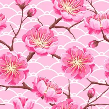 Seamless pattern with sakura or cherry blossom. Floral japanese ornament of Stock Illustration