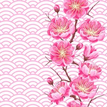 Seamless pattern with sakura or cherry blossom. Floral japanese ornament of 스톡 일러스트