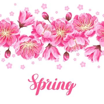 Seamless pattern with sakura or cherry blossom. Floral japanese ornament of Illustrazione stock