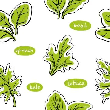 Seamless pattern with salad leaves and herbs. Hand drawn colorful background Stock Illustration