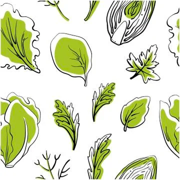 Seamless pattern with salad leaves and herbs. Hand drawn colorful background Stock Illustration