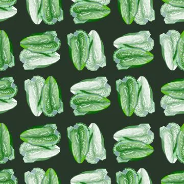 Seamless pattern salad Romano on dark background. Simple ornament with lettuc イラスト素材