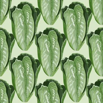 Seamless pattern salad Romano on light green background. Modern ornament with Stock Illustration