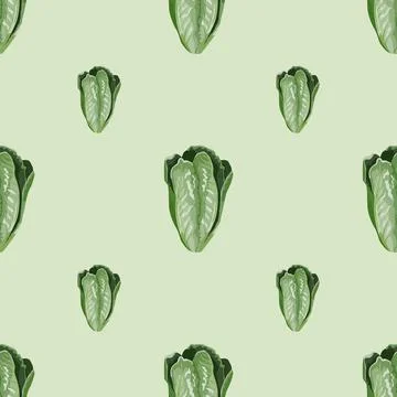 Seamless pattern salad Romano on light green background. Minimalism ornament  스톡 일러스트