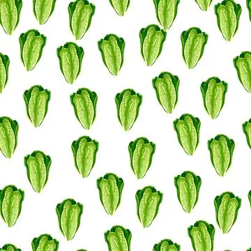 Seamless pattern salad Romano on white background. Simple ornament with lettu Stock Illustration