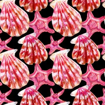 Seamless pattern of scallop shells. イラスト素材