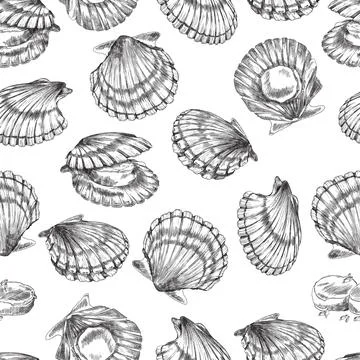 Seamless pattern with scallops mollusks in shells, engraving vector illustration イラスト素材