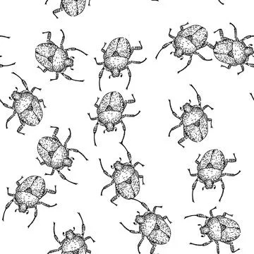 Seamless pattern Scarab beetle drawing in detailed vintage engraving style Stock Illustration