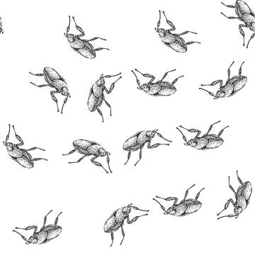 Seamless pattern Scarab beetle insect line drawing illustration art Stock Illustration