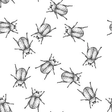 Seamless pattern Scarab beetle insect line hatching drawing illustration Stock Illustration