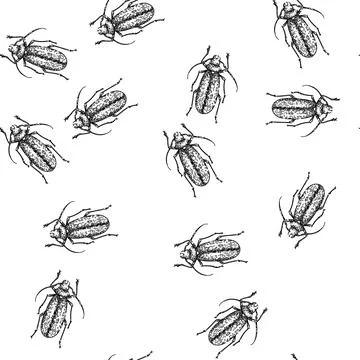 Seamless pattern scarab beetle sketch hand drawn Stock Illustration