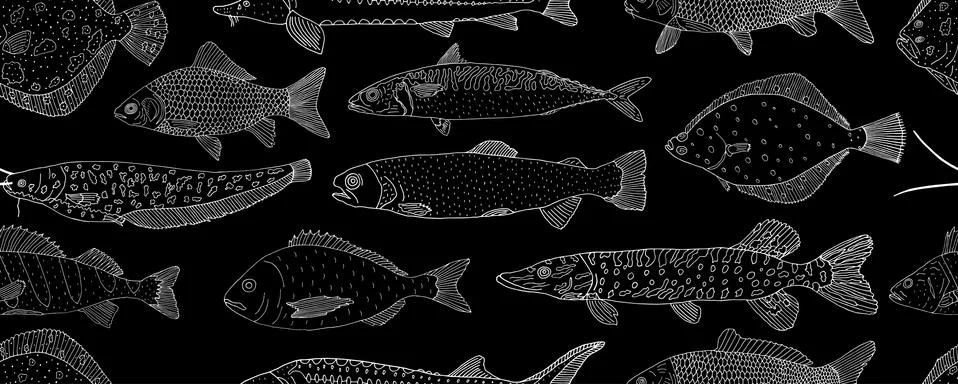 Seamless pattern of school fish, hand drawn. White contour of sea and river f Stock Illustration