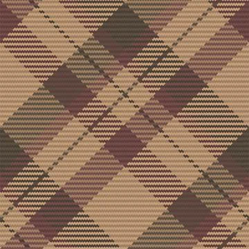 Seamless pattern of scottish tartan plaid. Repeatable background with check f 库存插图