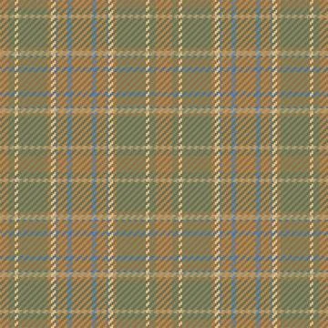 Seamless pattern of scottish tartan plaid. Repeatable background with check f 库存插图