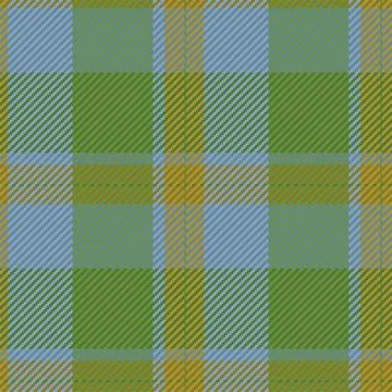 Seamless pattern of scottish tartan plaid. Repeatable background with check f 库存插图