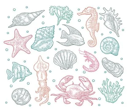 Seamless pattern sea animal. Stock Illustration