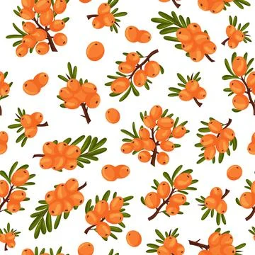 Seamless pattern of sea buckthorn branches and berries white background. Illustrazione stock
