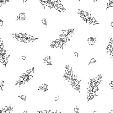 Seamless pattern sea buckthorn branches. Vector illustration of a healing edi Stock Illustration