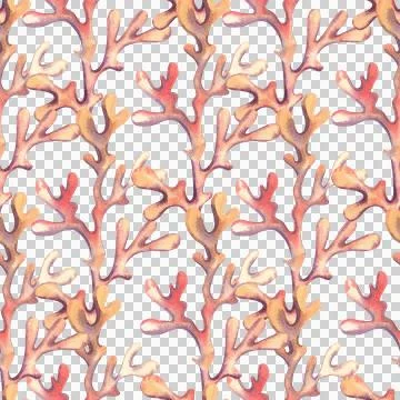 Seamless pattern with sea corals, hand drawn underwater world. Watercolor Stock Illustration