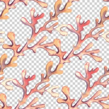 Seamless pattern with sea corals, hand drawn underwater world. Watercolor Stock Illustration