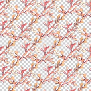 Seamless pattern with sea corals, hand drawn underwater world. Watercolor Иллюстрация