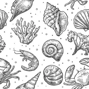 Seamless pattern sea shell, coral, crab and shrimp. Vector engraving vintage  Stock Illustration